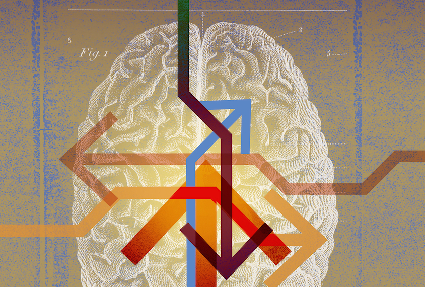 An illustration of a brain. Multi-colored arrows overlay the illustration.
