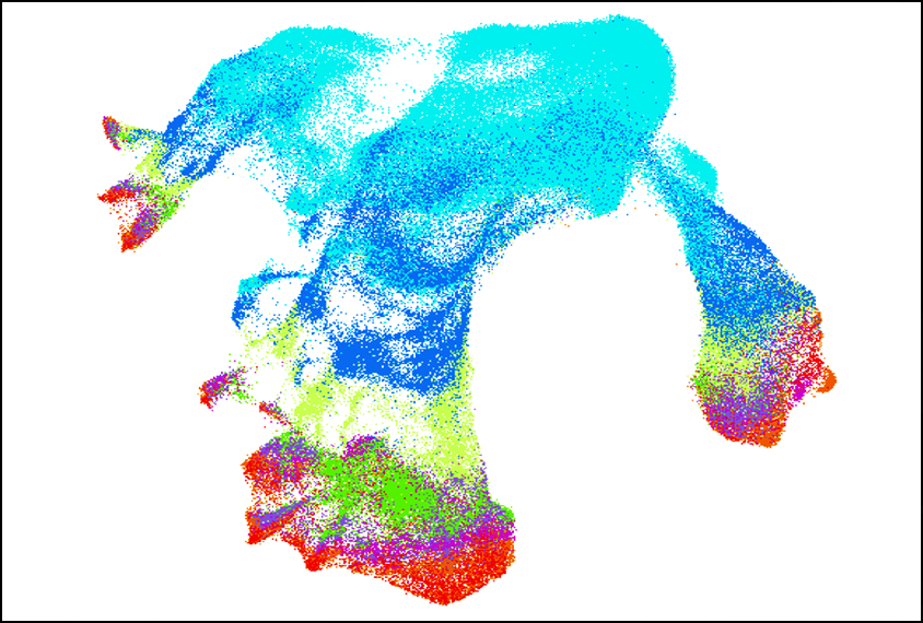 Figure showing an analysis of gene expression in cells across development.