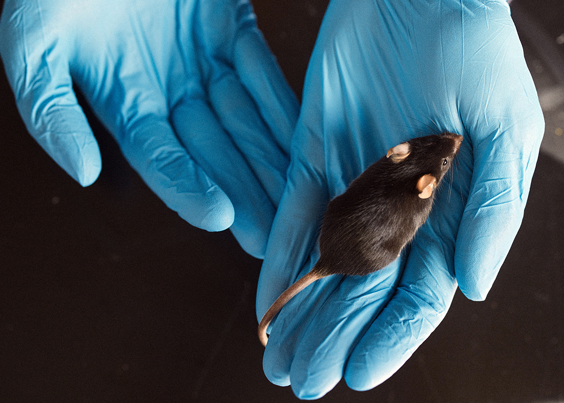 Graham Diering with a mouse in his hands, closeup.