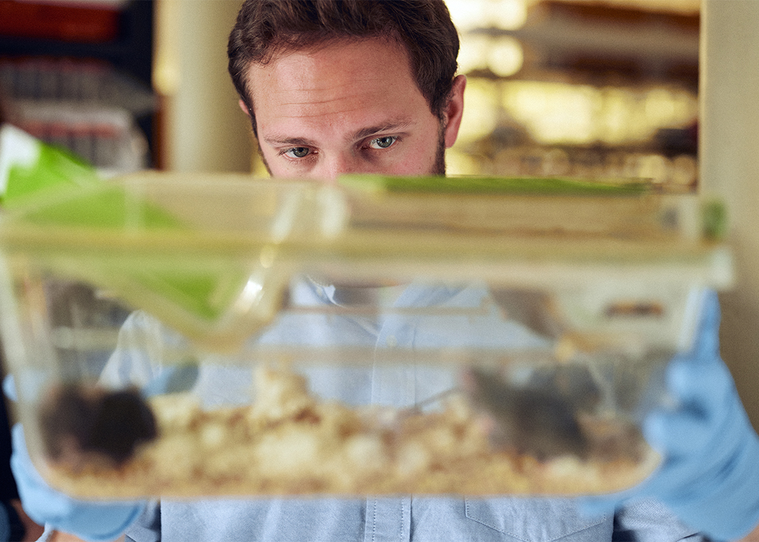 Fifth-year graduate student Sean Gay holds up a mouse cage to examine the animals.