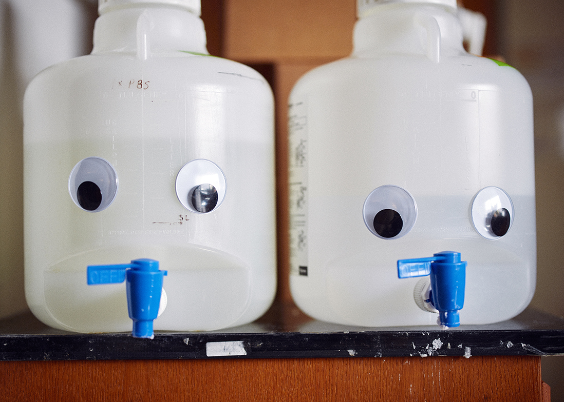Two plastic liquid containers with googly eyes placed on them so they resemble faces.