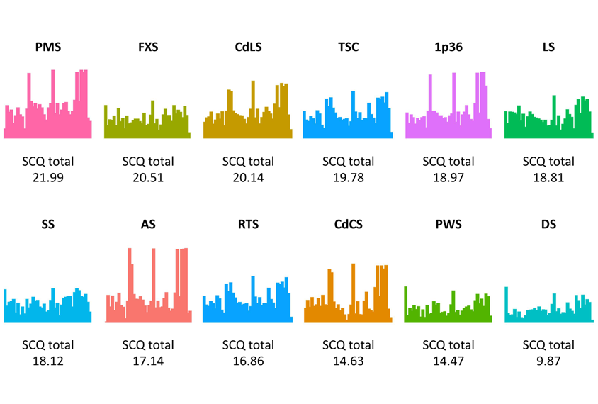 Series of Social Communication Questionnaire score profiles based on the underlying genetics of the research participant.