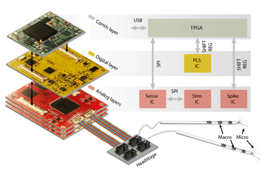 Wearable device records, stimulates single neurons in people on the go ...