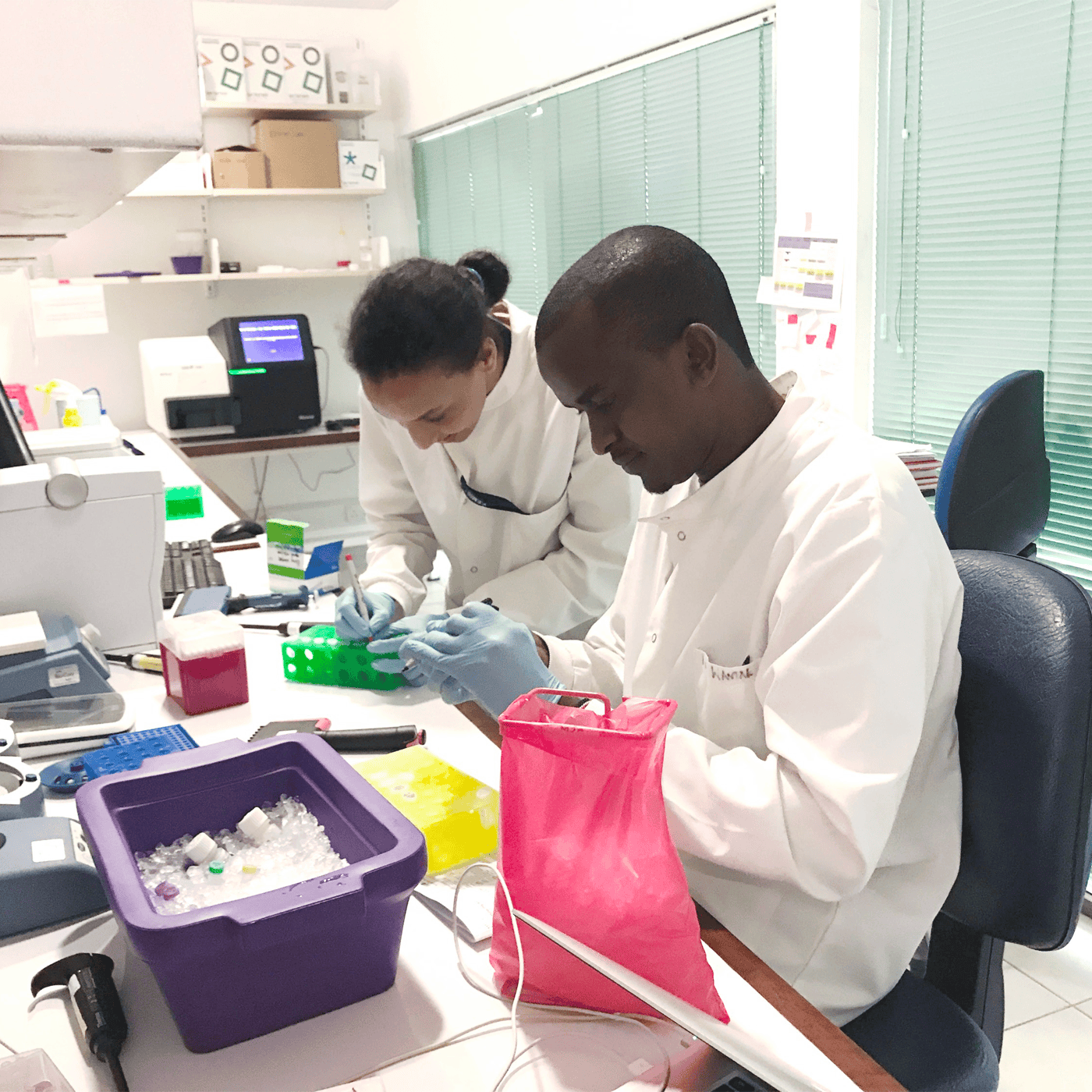 African genetics study NeuroDev shares initial findings episode artwork