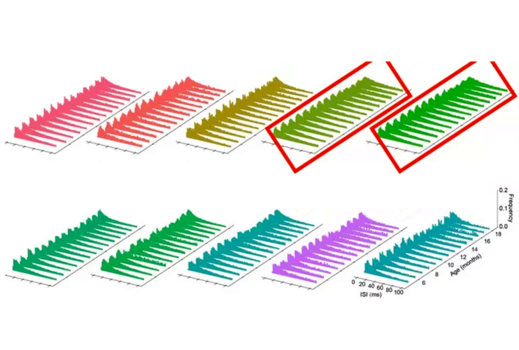 Image of allegedly duplicated data in a scientific paper.