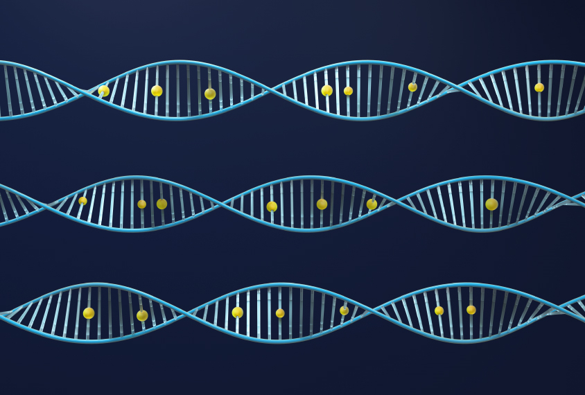 Illustration of DNA methylation.