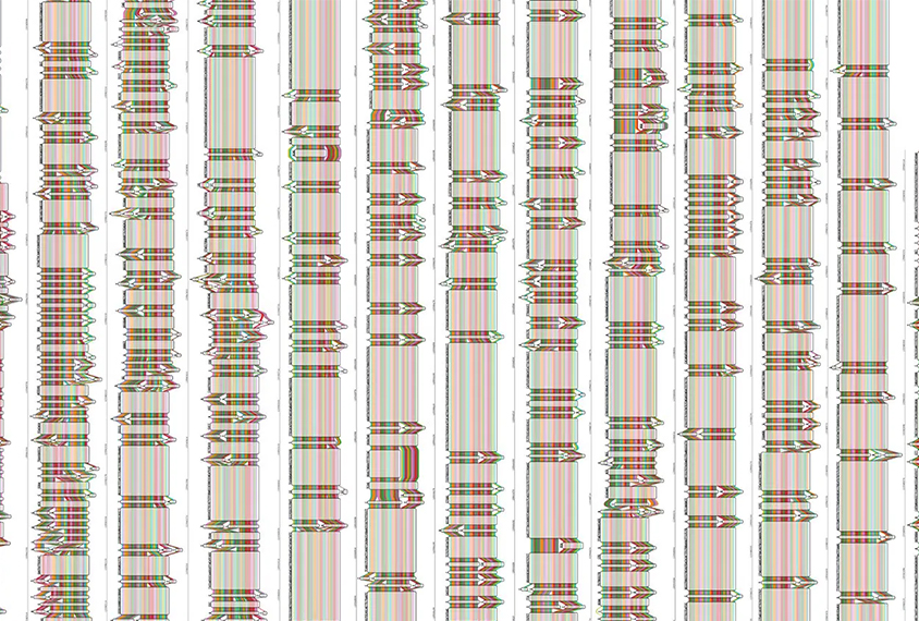 A "pangenome" map of a diverse group of humans