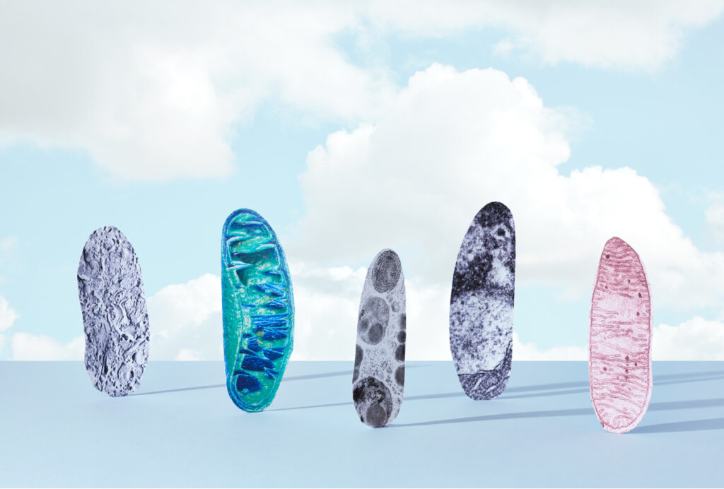 Illustration of mitochondria as a kind of Stonehenge, with the shapes standing upright, casting shadows, against a blue sky.