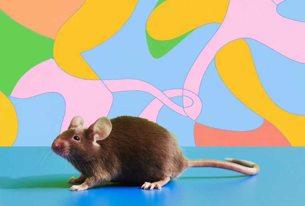 A photograph of a mouse against a swirly, multi-colored backdrop