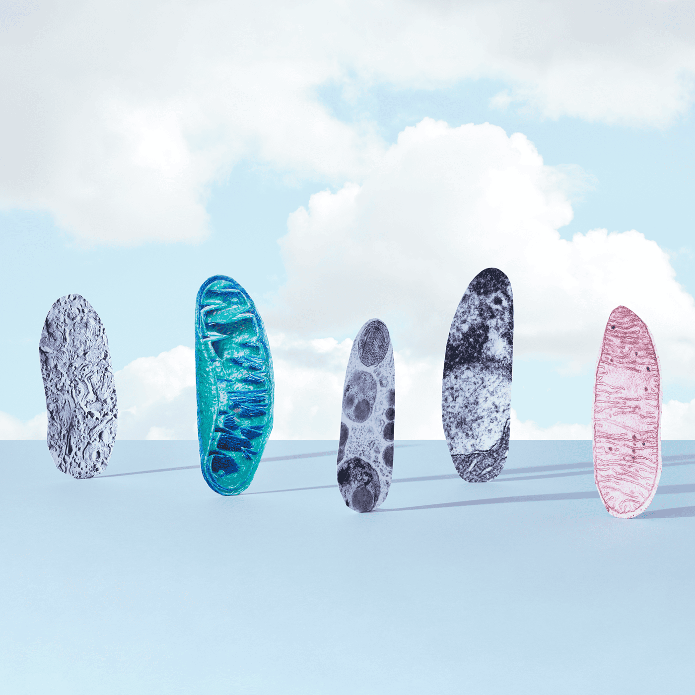 Mitochondria mediate effects of PTEN mutations episode artwork