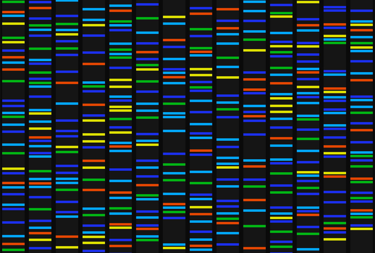 Visualization of a DNA sequence.