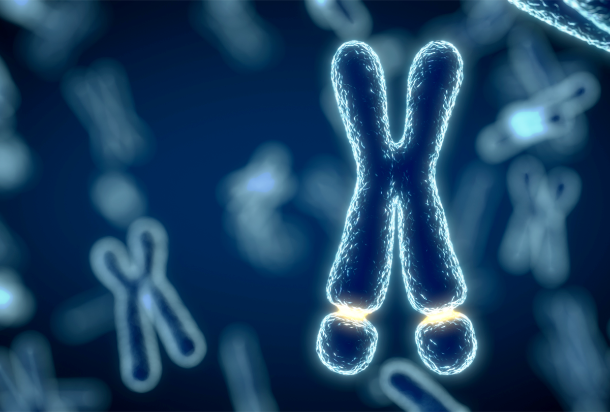 Illustration of a fragile X syndrome chromosome.