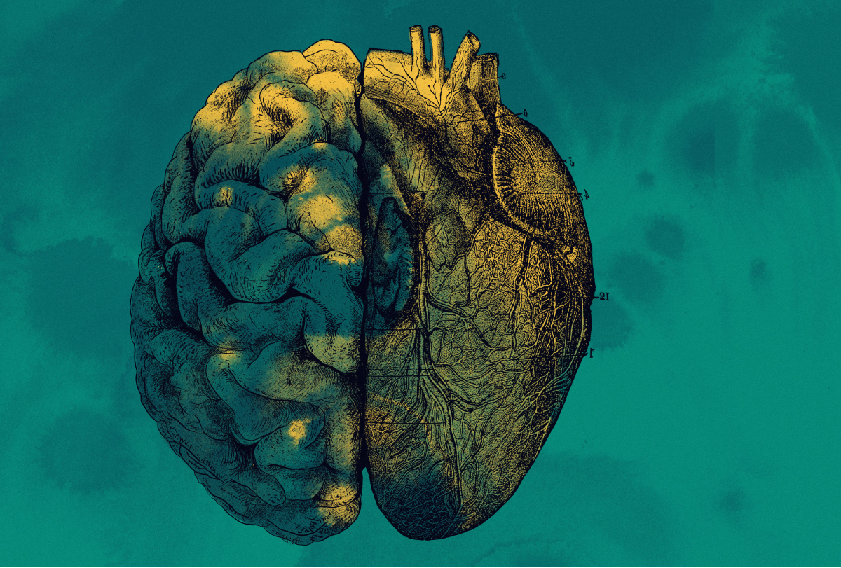 Illustration of half of a brain on the left and half of a heart on the right