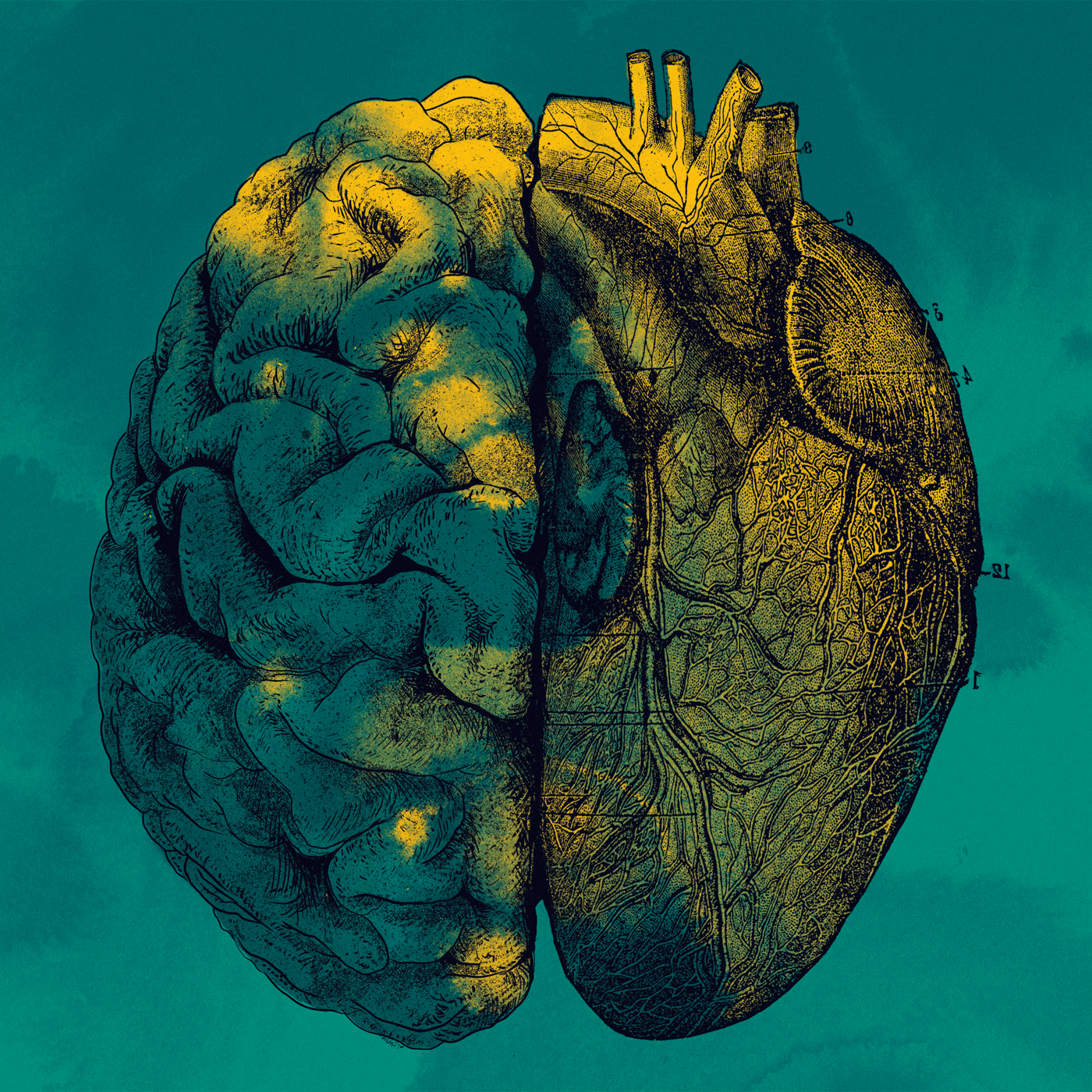 Change of heart and mind: Autism's ties to cardiac defects episode artwork