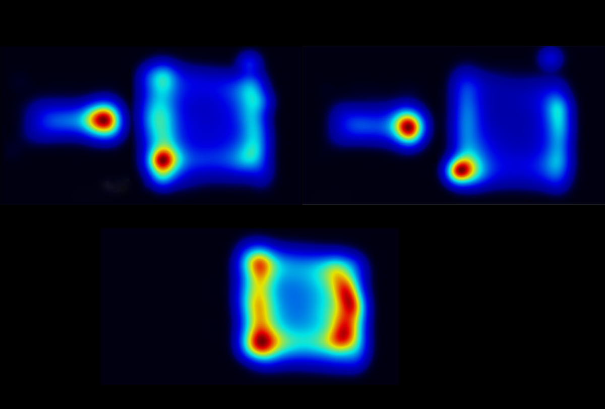 Position heatmaps of mice performing a behavioral assay.
