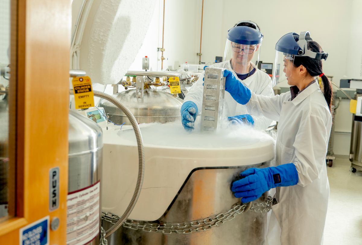 Two Neurona employees in protective lab gear remove a large container from a freezer.