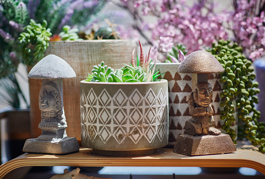 Scientist Gül Dölen's office windowsill with cacti, mushroom sculptures and specimens.