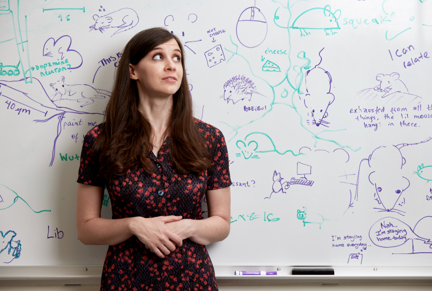 Ann Kennedy stands with her back to a whiteboard that is covered in purple and green writing and drawings of mice. She is looking out of the corners of her eyes at the whiteboard.