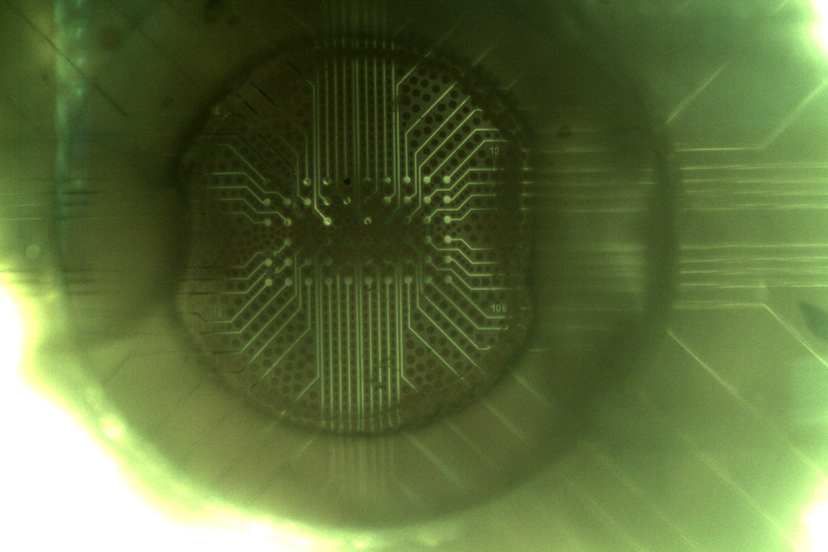Close-up of a green glass slide embedded with dozens of tiny electrodes.