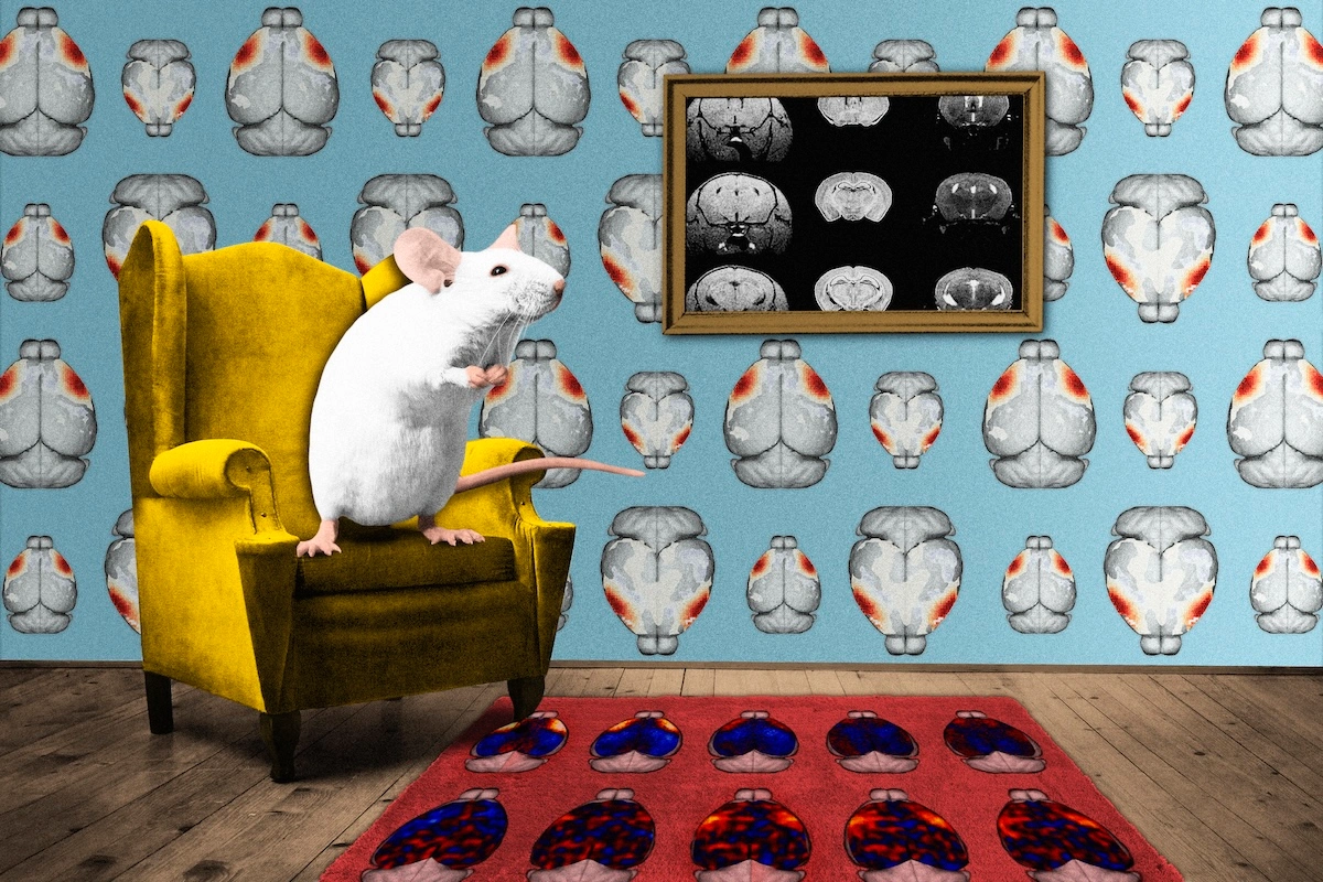 An illustration of a mouse sitting in an armchair next to a framed picture of mouse brains