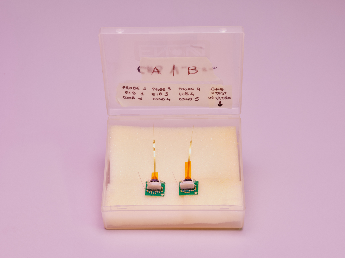 Neural probes pointing upwards, in a small plastic box.