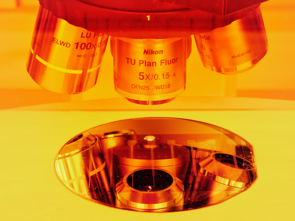 Neural probes in substrate, in yellow light of clean room, under a microscope.