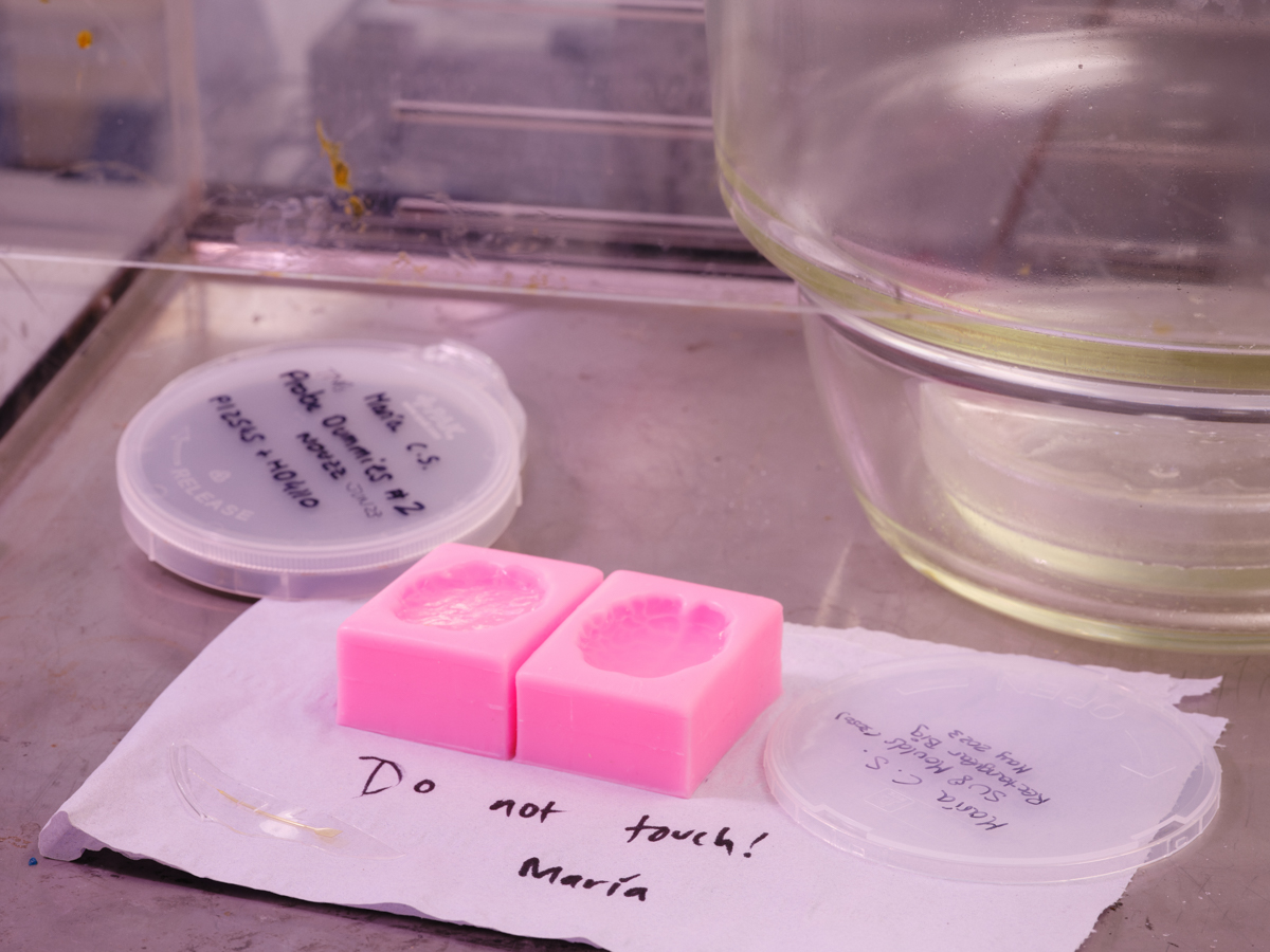 Two halves of a bright pink miniature brain-shaped mold for a gel test brain.
