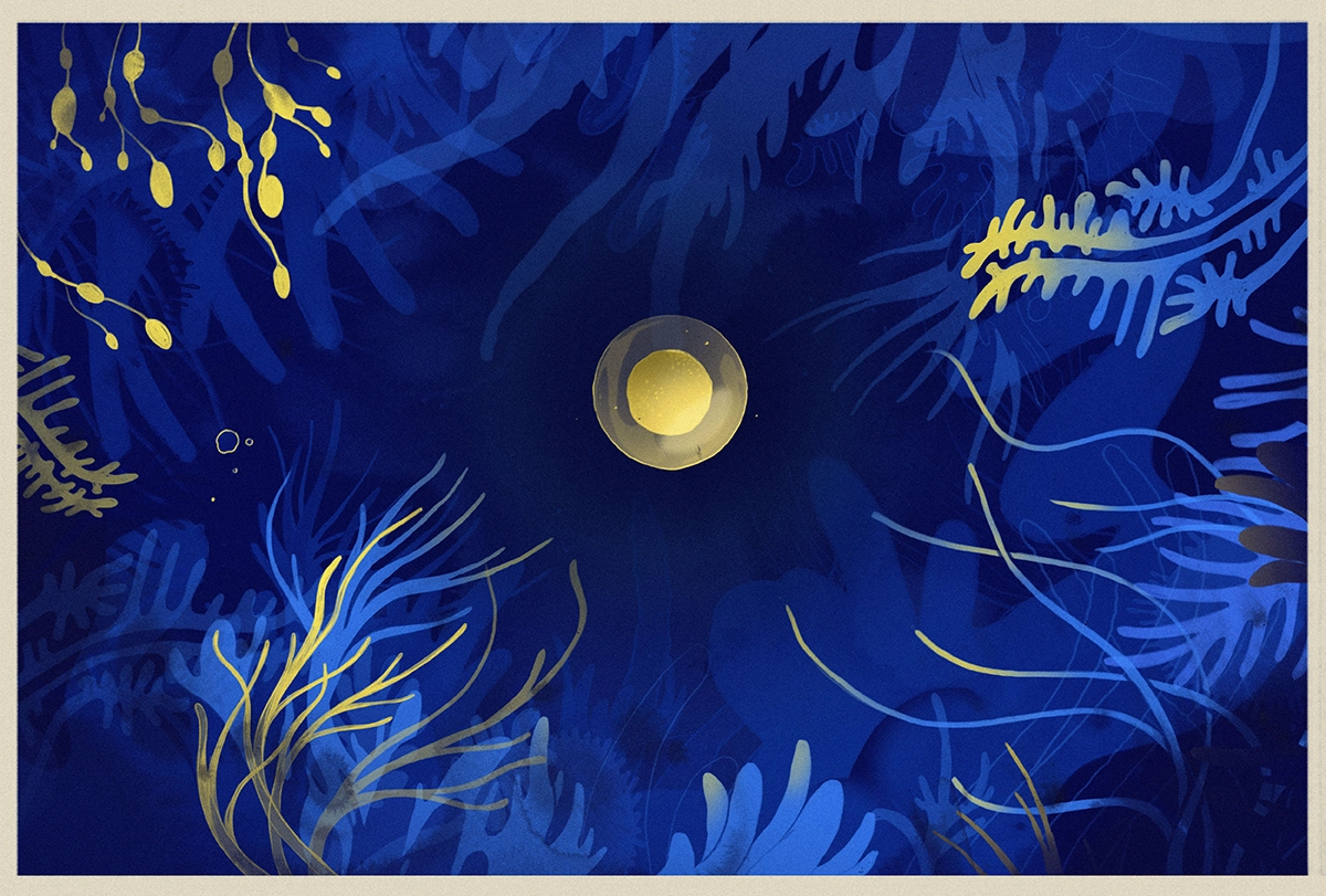 An illustration of a gold circle and wavy blue plants.