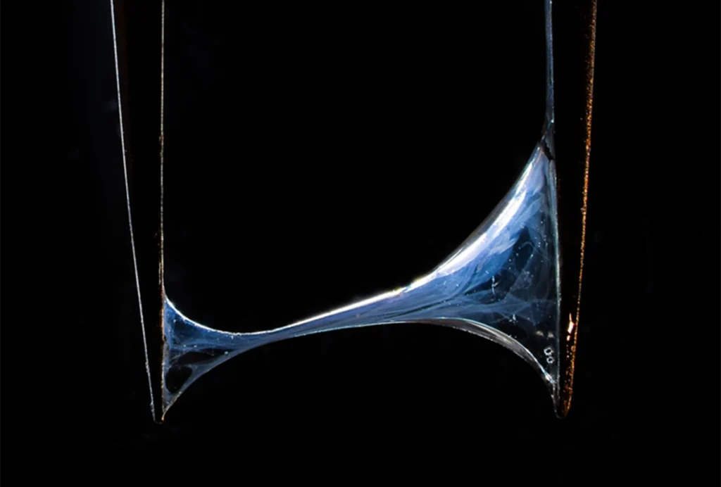 Closeup of jelly on forceps, black background.