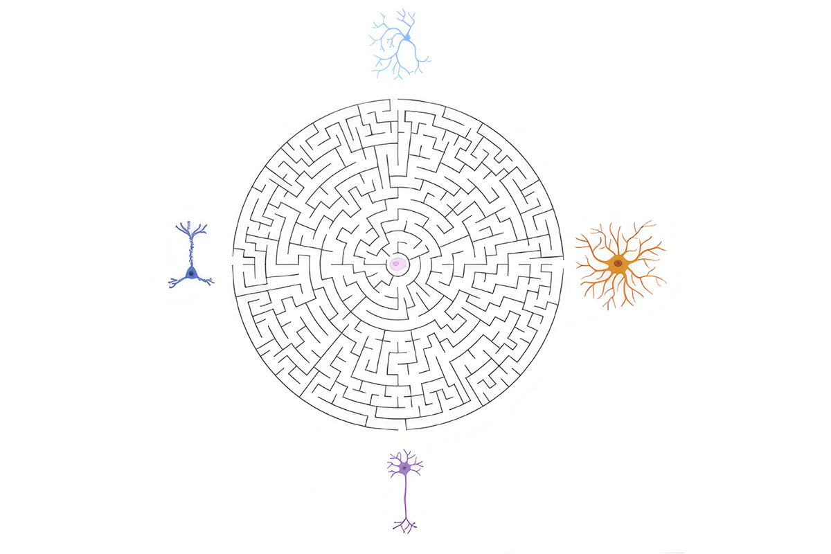 A diagram of a maze with cells around it