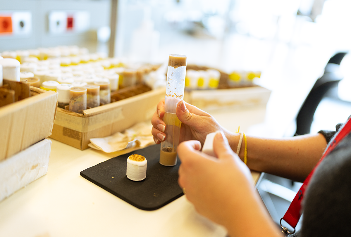 Close-up photograph of a researcher's hands while they work at the bench.