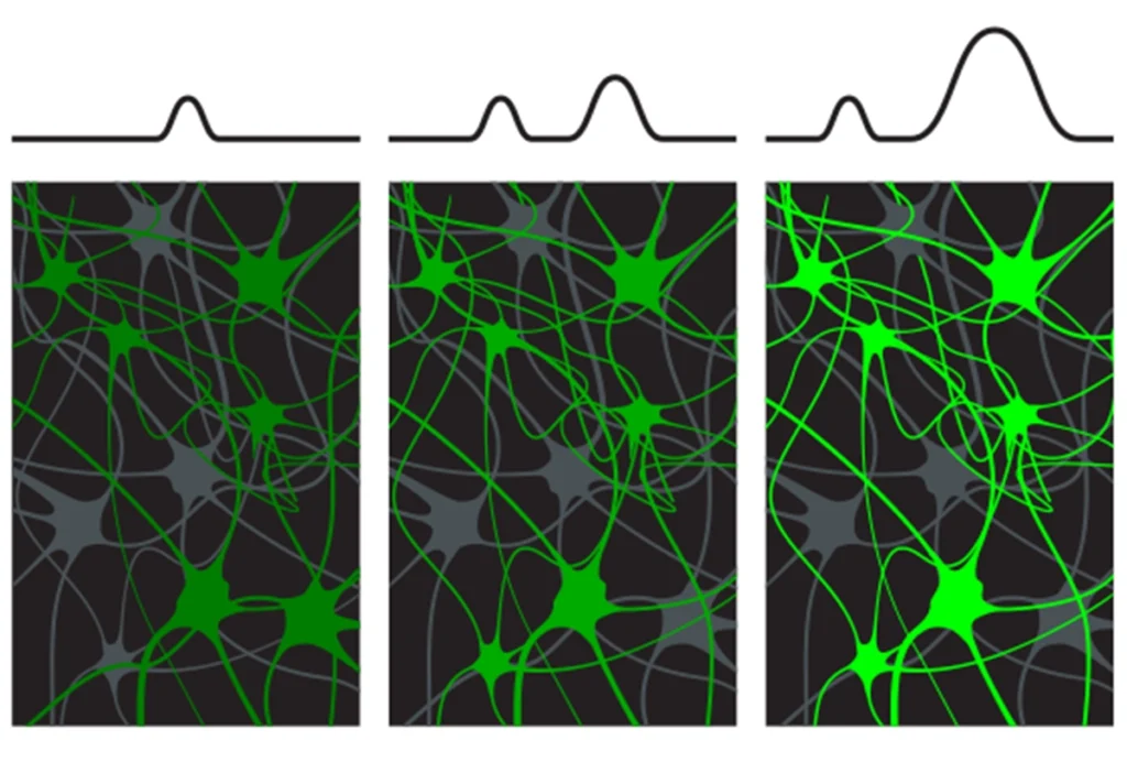 A diagram of green neurnons