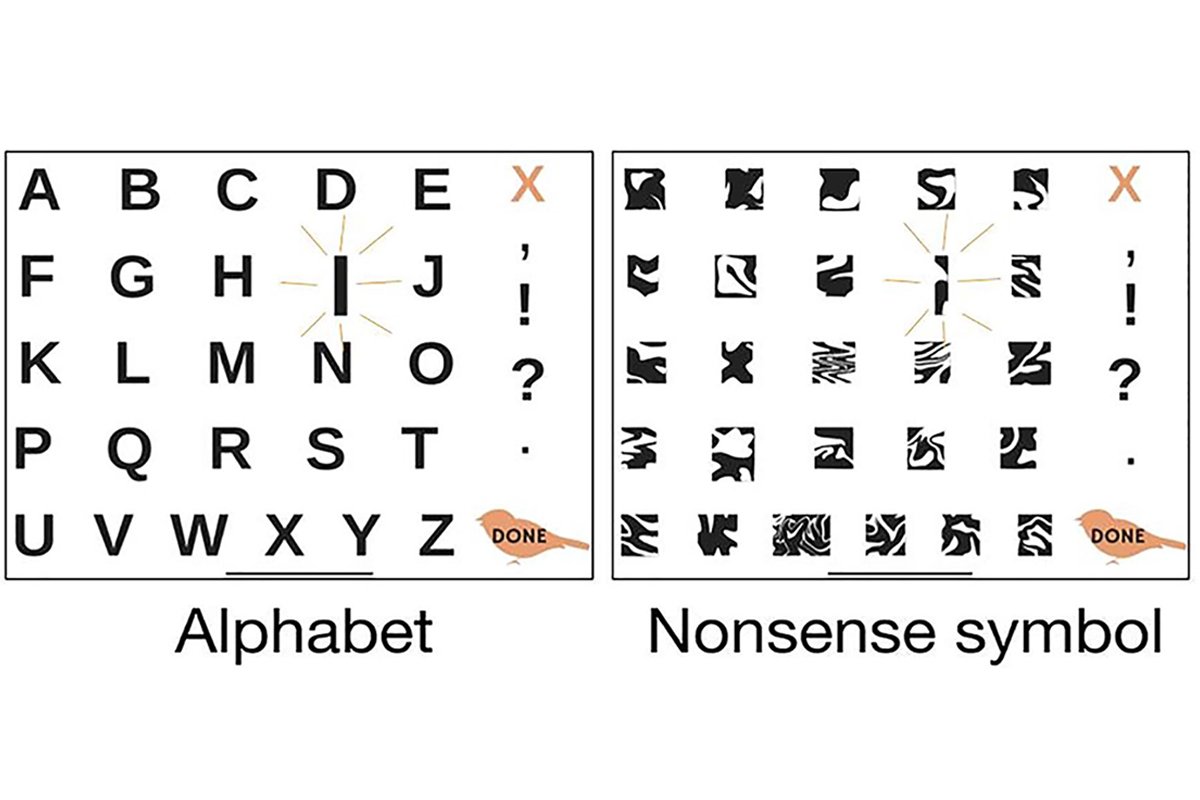 Image of a game designed to measure foundational literacy skills; on the left is a grid of letters, and on the right is a grid of nonsense symbols.