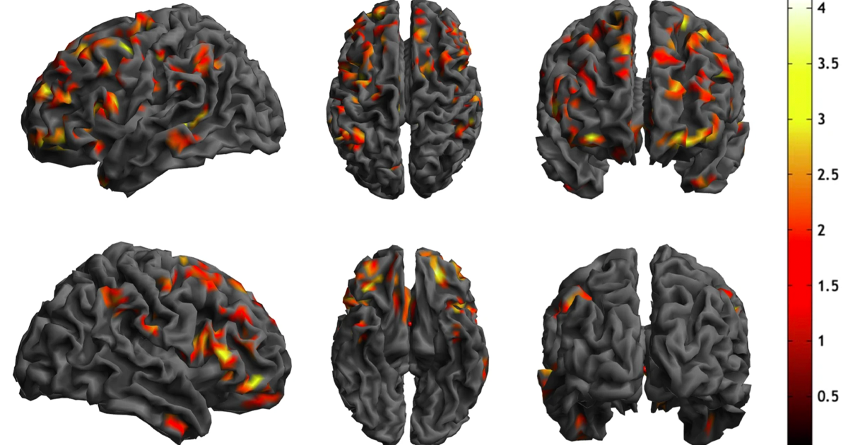 cropped-1200-spotted-20241015-