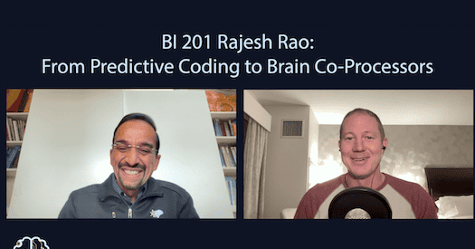 Rajesh Rao reflects on predictive brains, neural interfaces and the ...