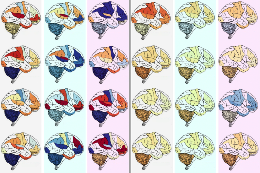 Research image highlighting different brain regions.
