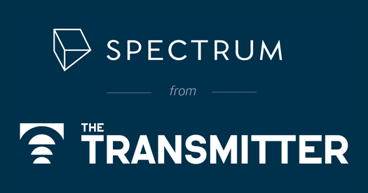 www.spectrumnews.org