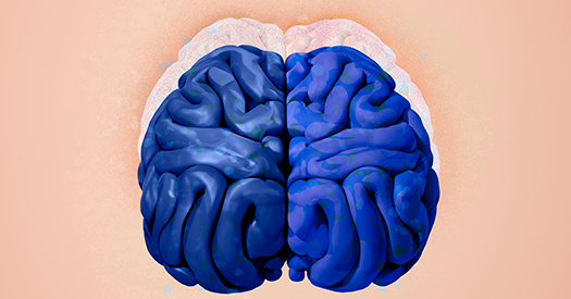 Does the solution to building safe artificial intelligence lie in the brain?