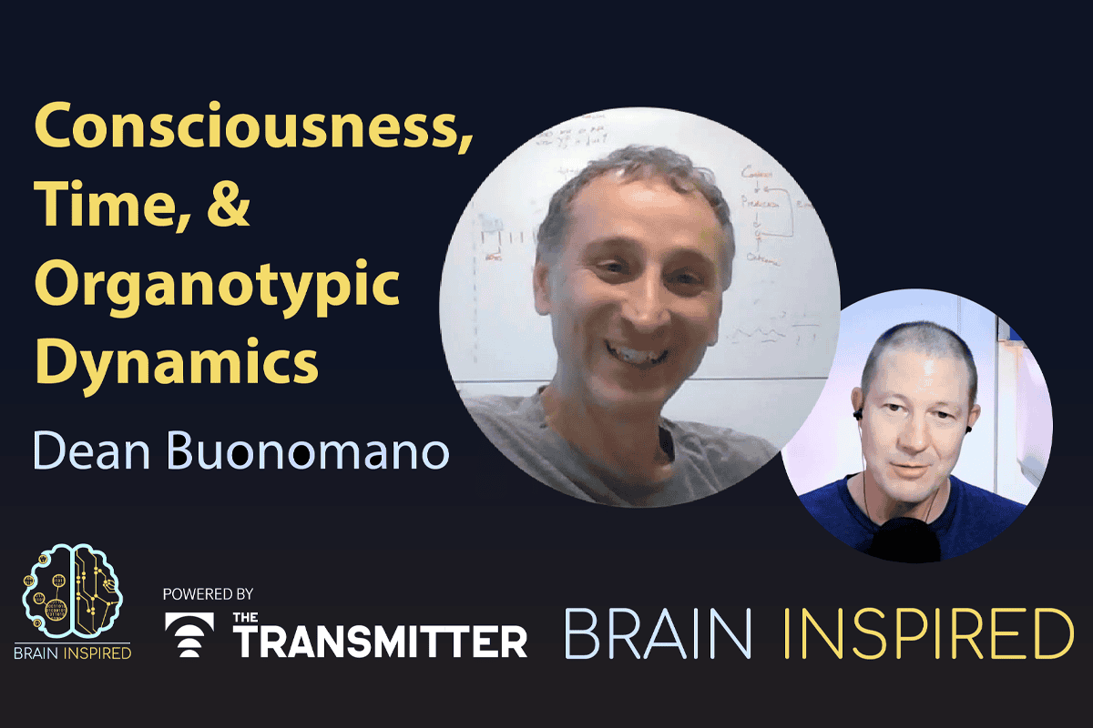 Dean Buonomano explores the concept of time in neuroscience and physics ...