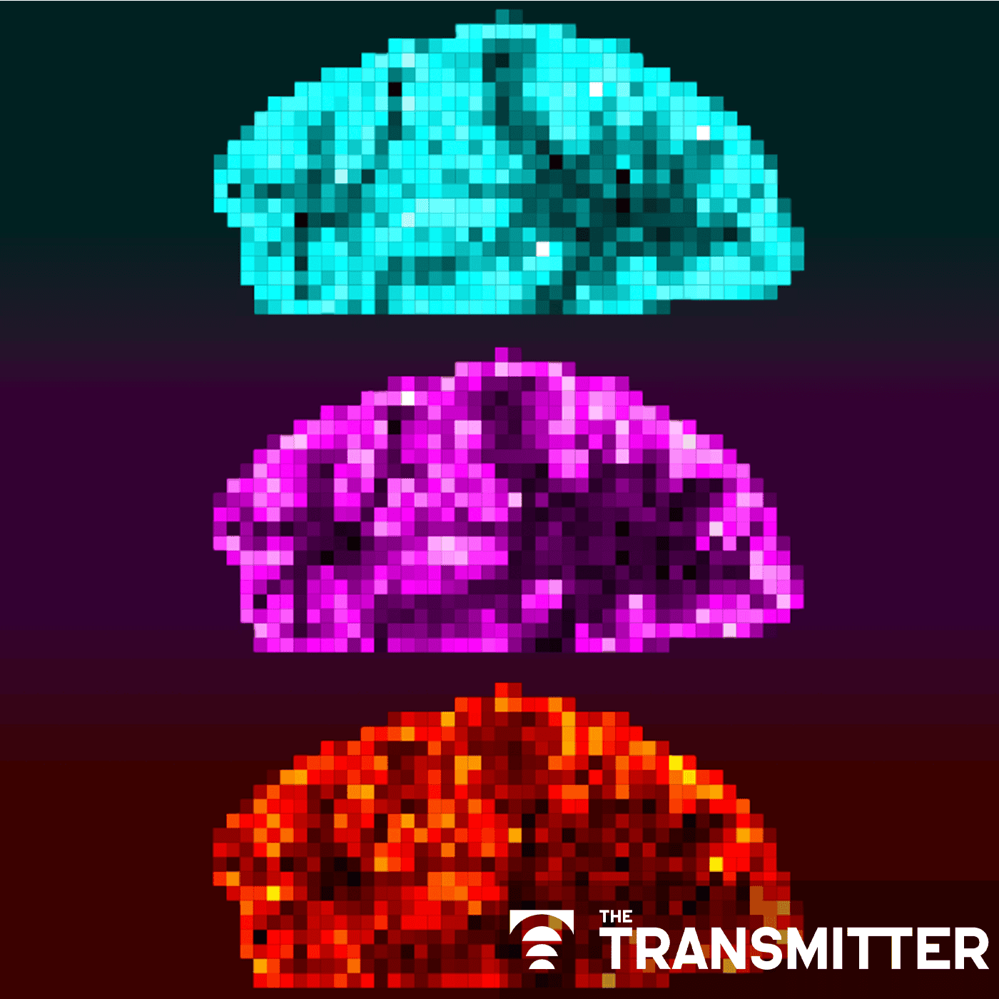 Mitochondrial 'landscape' shifts across human brain episode artwork