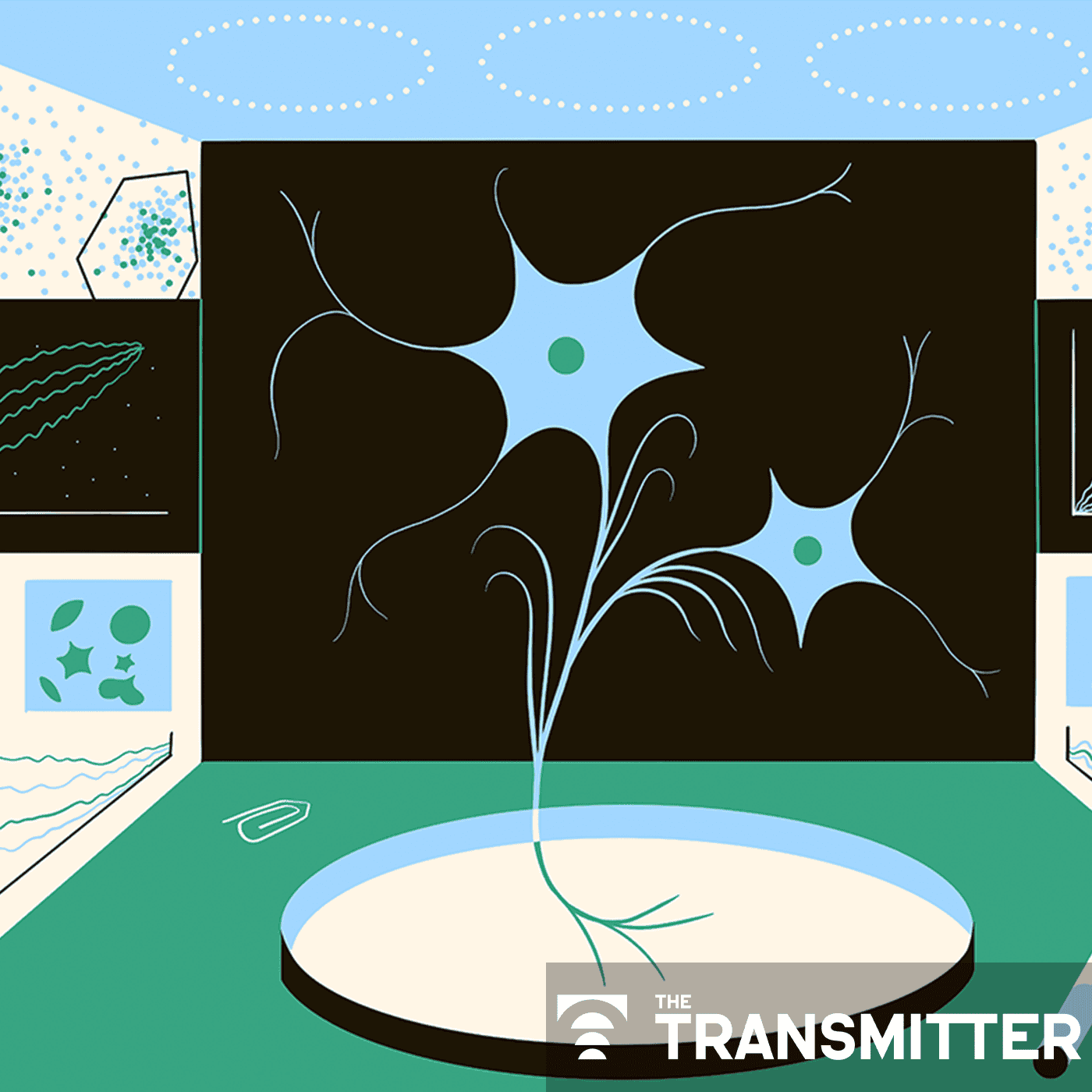 This paper changed my life: Shane Liddelow on two papers that upended astrocyte research episode artwork