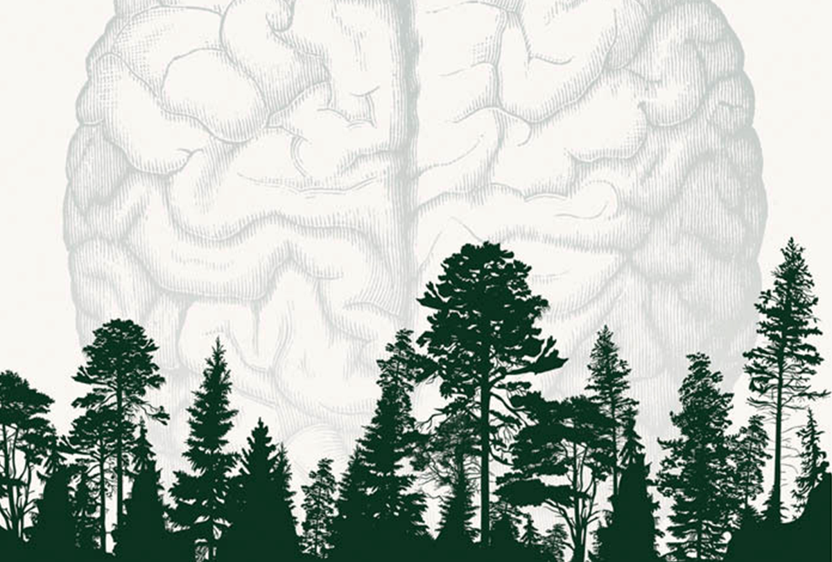 Natural Neuroscience,' an excerpt | The Transmitter: Neuroscience