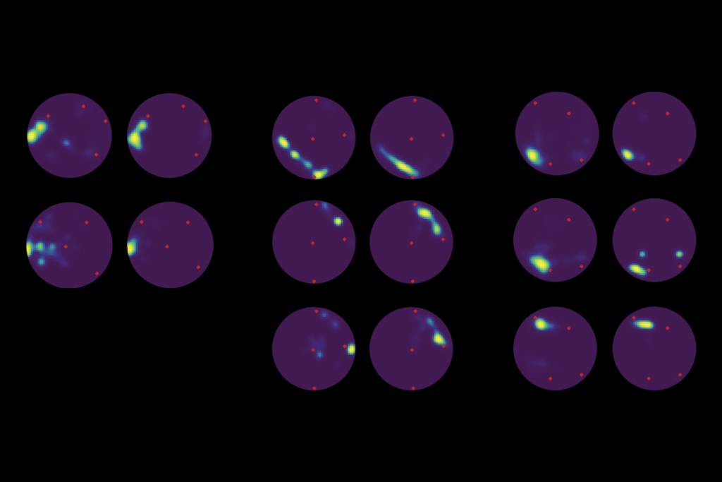Image of brain cell activity in rat brains.