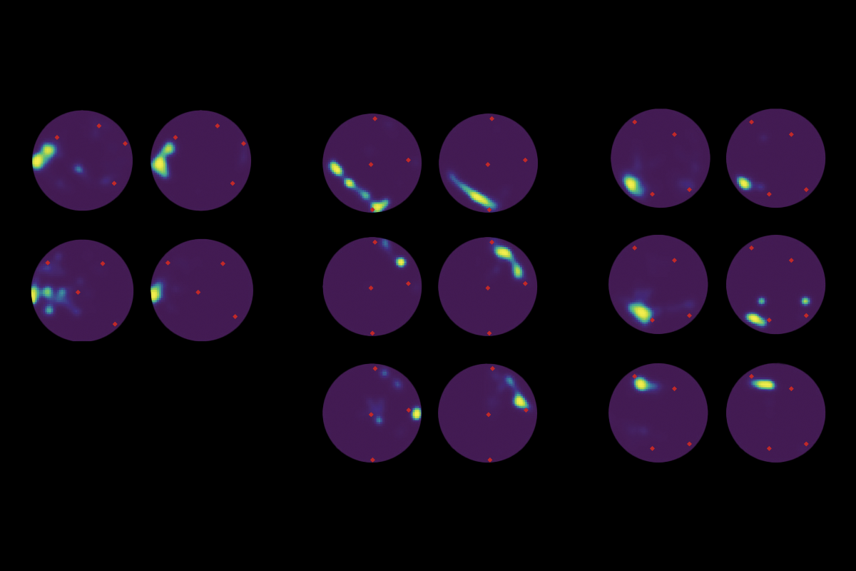 Image of brain cell activity in rat brains.