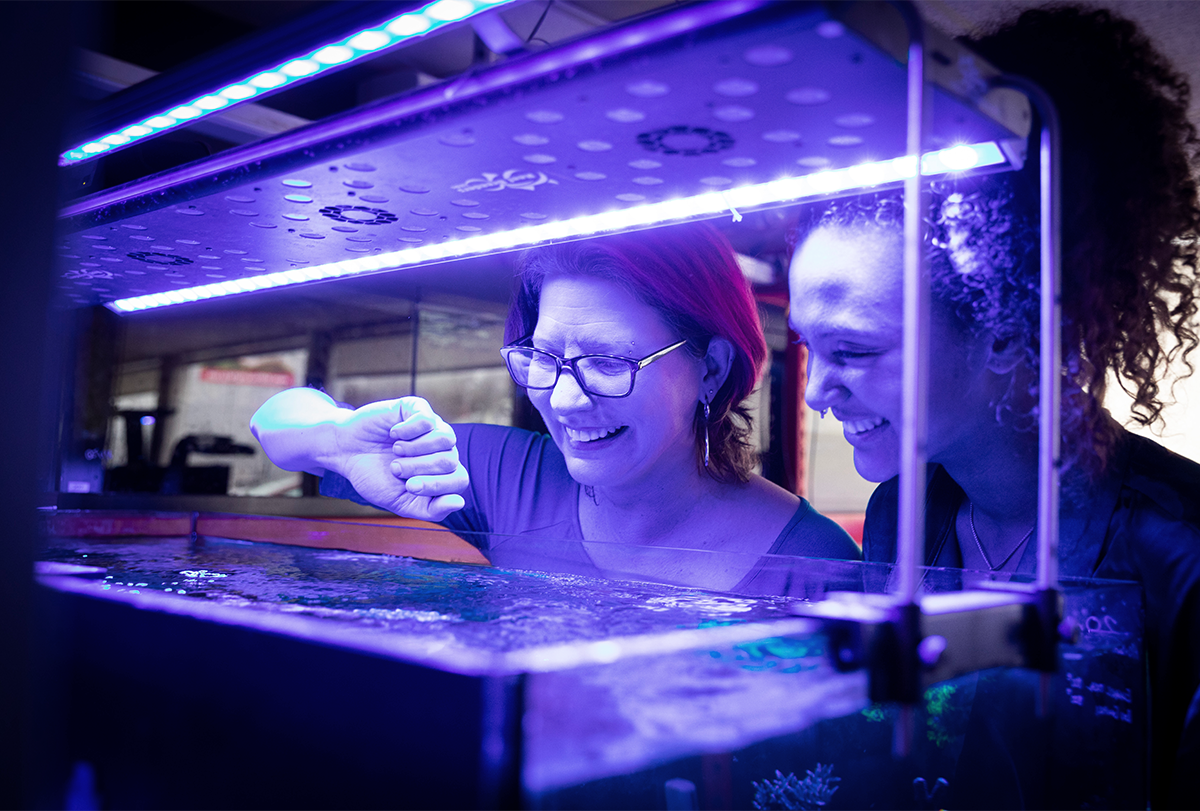 Judit Pungor and Angelique Allen stand in front of a saltwater tank.