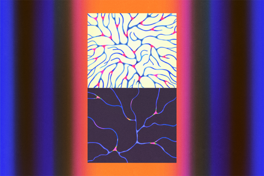 Two panels depict different brain wiring-like networks.