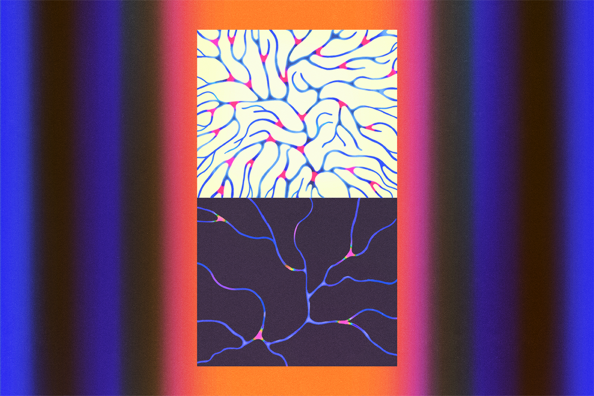 Two panels depict different brain wiring-like networks.
