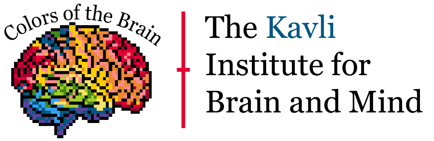 Colors of the Brain logo.