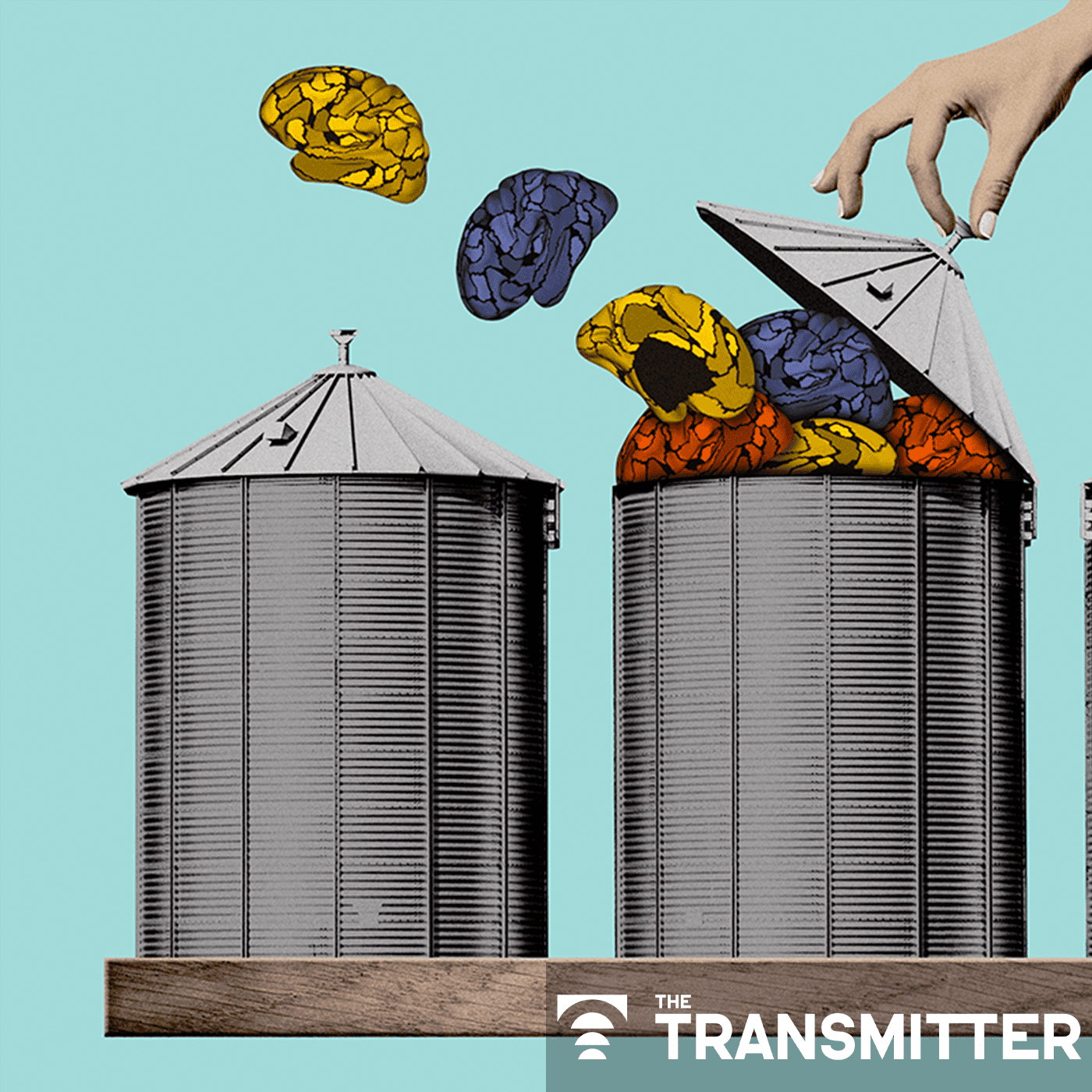 To make a meaningful contribution to neuroscience, fMRI must break out of its silo episode artwork