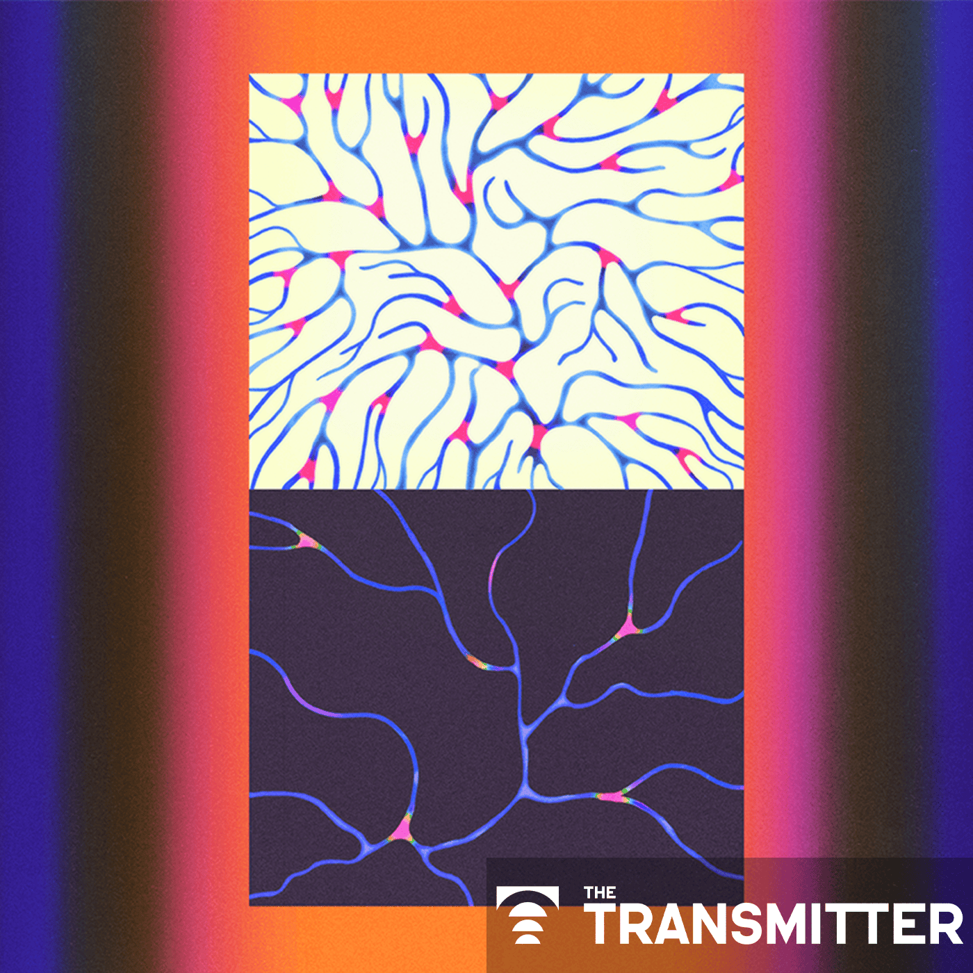 Rethinking how neural activity sculpts critical periods episode artwork